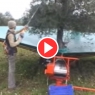 Olive Picking and Crating Machines