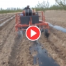 Mulch Transplanter